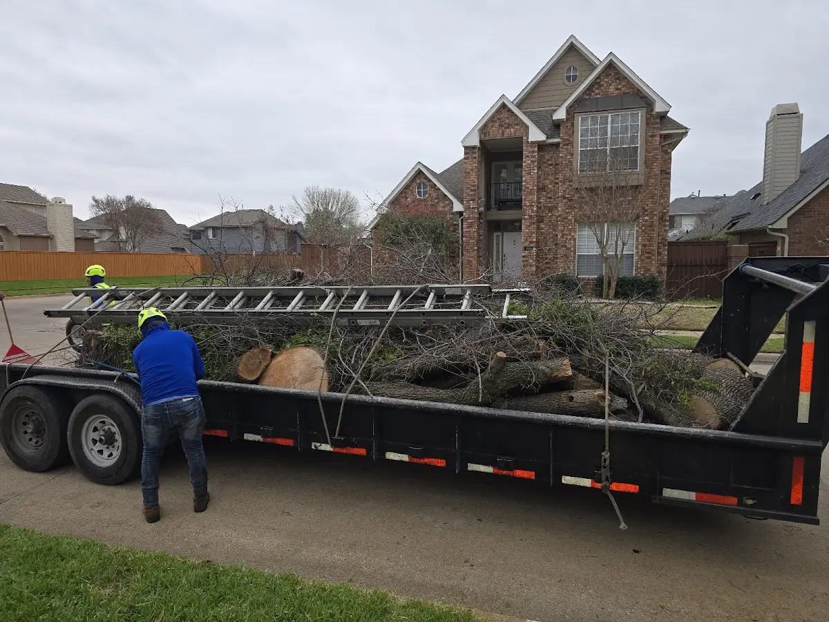 Expert Tree Fertilization with proper safety equipment in Biggs